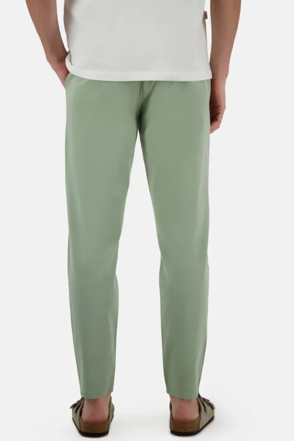 Basic Chino - Pistachio