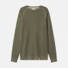 Roundneck Basic - Olive